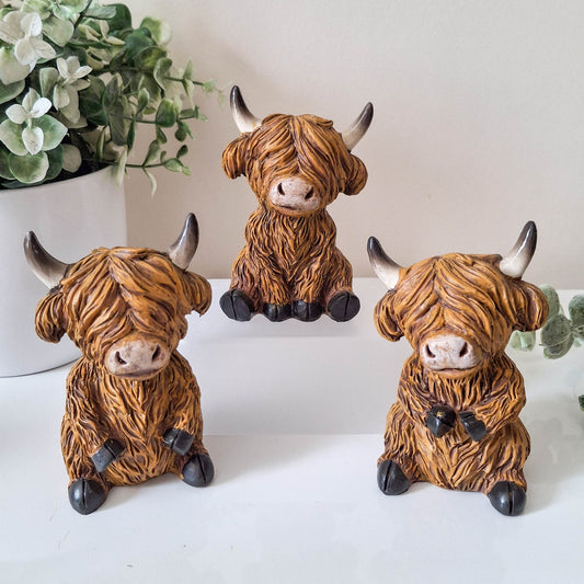 Small Happy Highland Coo Sitting