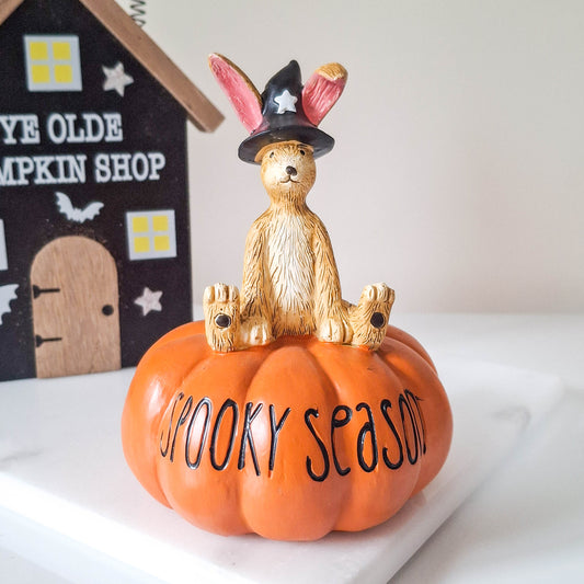 Spooky Season Pumpkin with Witch Rabbit