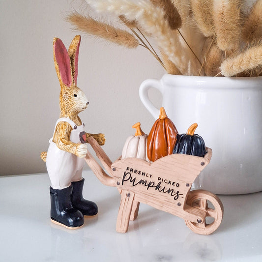 Freshly Picked Pumpkins Wheelbarrow Rabbit