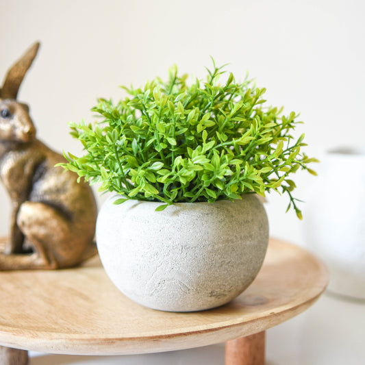 Small Green Artificial Plant in Pot