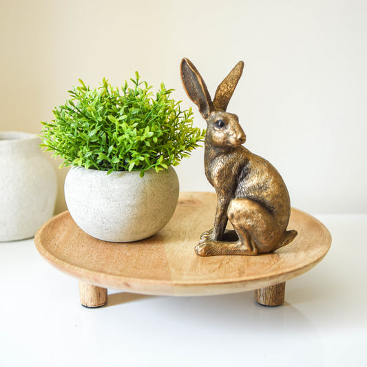 Round Mango Wood Display Tray with Feet