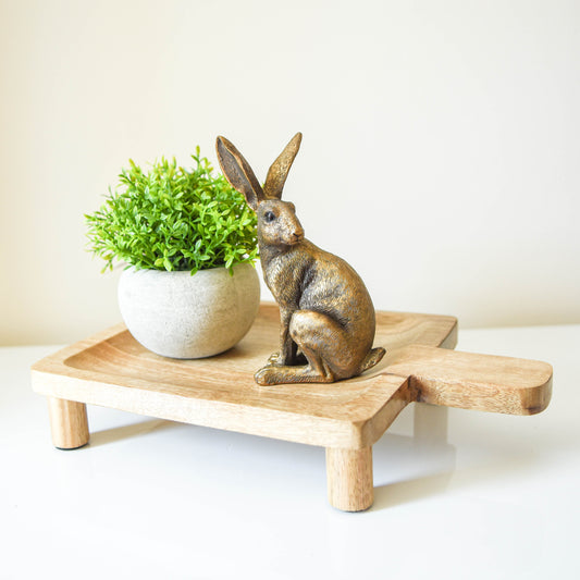 Mango Wood Display Tray with Feet