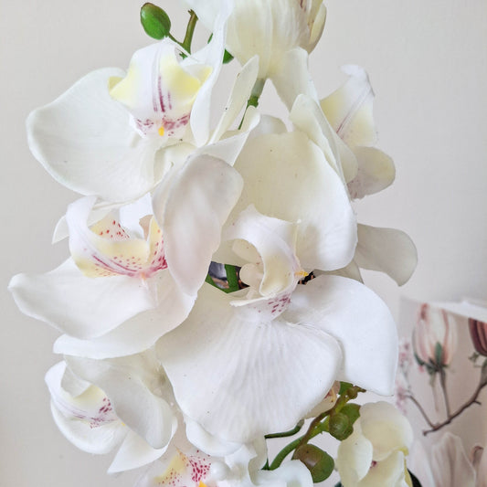 Faux Cream Orchid in Glass Pot