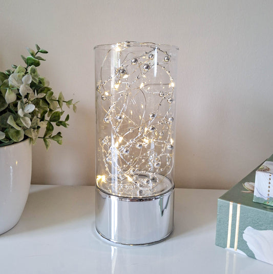 Silver LED Glass Tube Light Tube