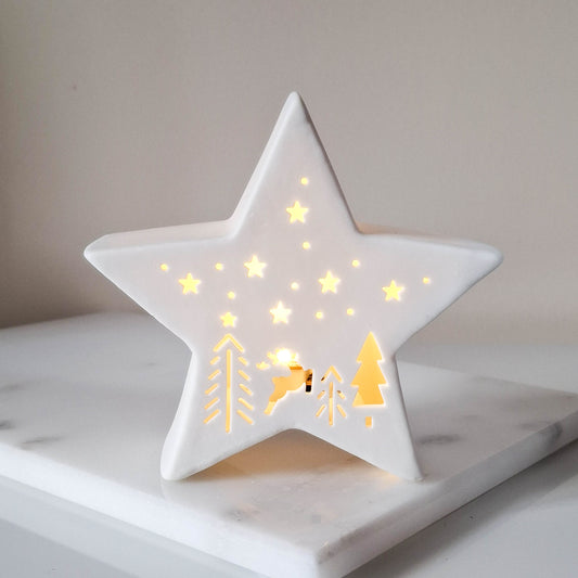 White LED Cutout Porcelain Star