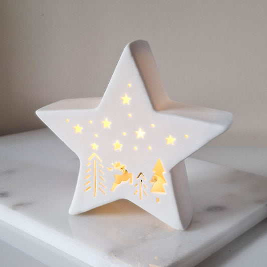 White LED Cutout Porcelain Star
