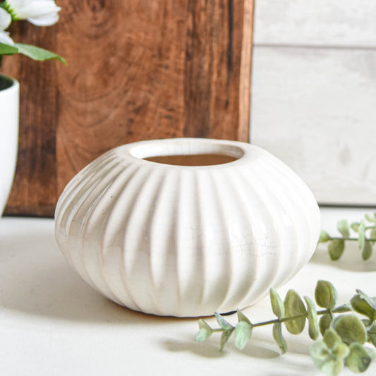 White Sea Urchin Ceramic Pot