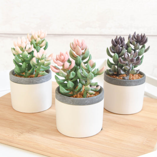 Small Faux Succulent in White Pot