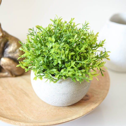 Small Green Artificial Plant in Pot