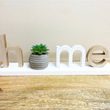 Home Decoration With Plant