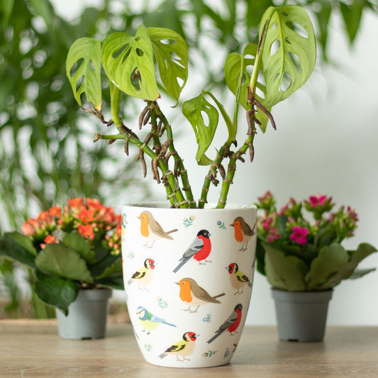 British Garden Birds Plant Pot