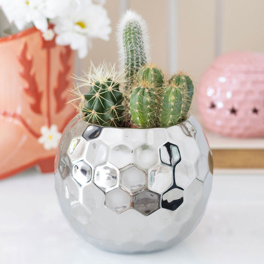 PRE-ORDER Silver Disco Ball Vase