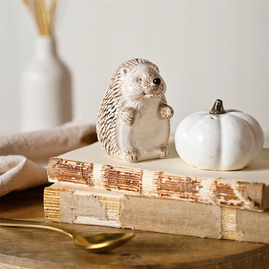 Hedgehog & Pumpkin Salt & Pepper Shakers