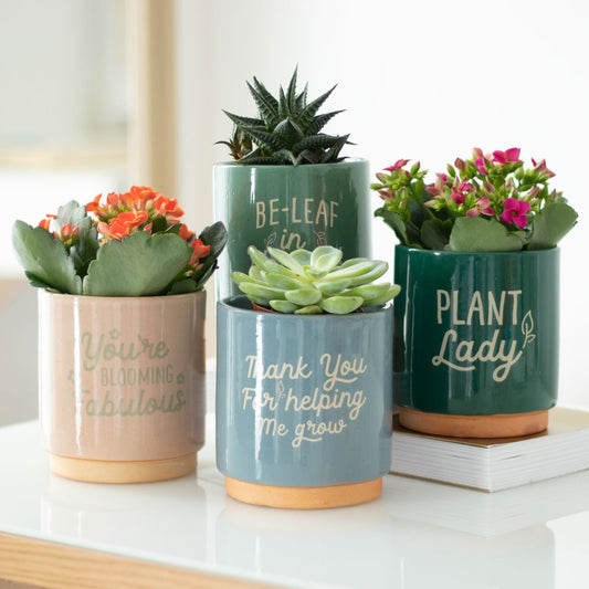 Thank You For Helping Me Grow Blue Plant Pot