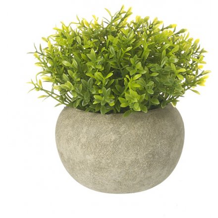 Small Green Artificial Plant in Pot