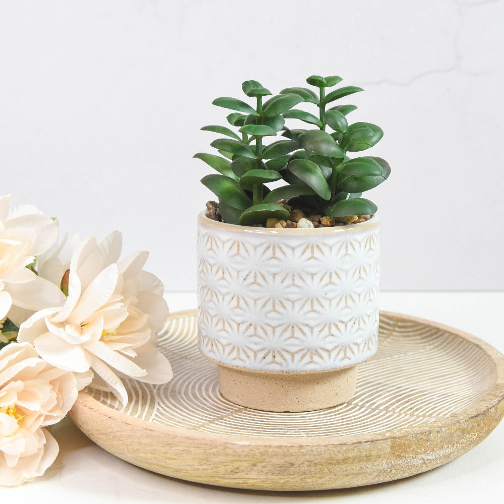 Faux Succulent in Ceramic Pot