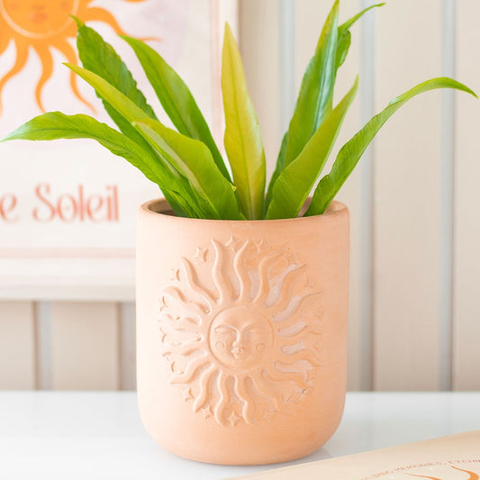 PRE-ORDER Terracotta Sun Plant Pot