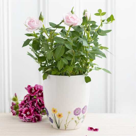 Wildflowers Ceramic Indoor Planter