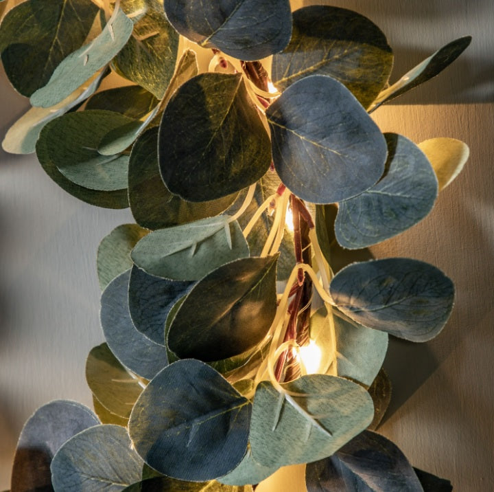 Eucalyptus Wreath 20 LED Lights