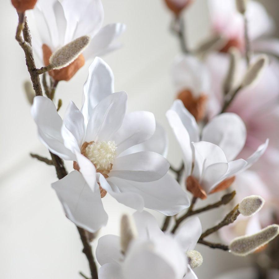 Potted Artificial Magnolia -  Picture Perfect Interiors