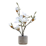Potted Artificial Magnolia -  Picture Perfect Interiors
