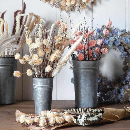 Dried Thistle Bundle Natural -  Picture Perfect Interiors