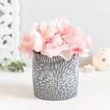 Grey Textured Plant Pot -  Picture Perfect Interiors