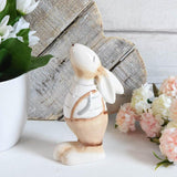 Gazing Bunny in Dungarees -  Picture Perfect Interiors