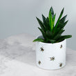 Nectar Meadows Bee Indoor Planter