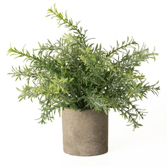 Rosemary Plant In Stone Effect Pot -  Picture Perfect Interiors